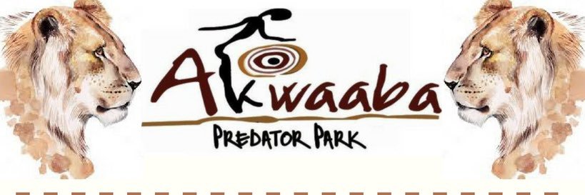 _Akwaaba_'s profile banner image