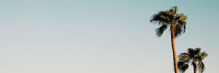 GekLala's profile banner image