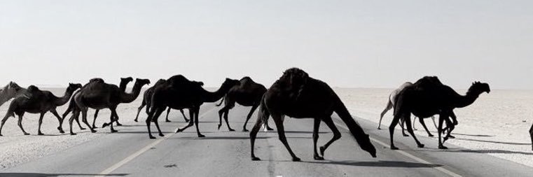 مــدهــال banner