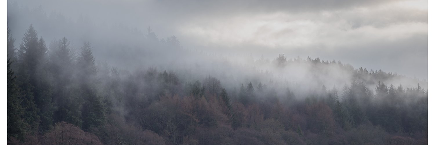 martynsmithson0's profile banner image