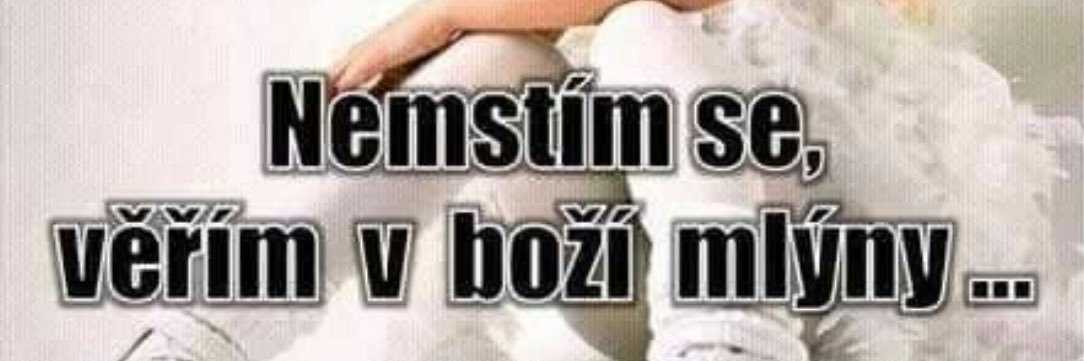 IHŠ banner