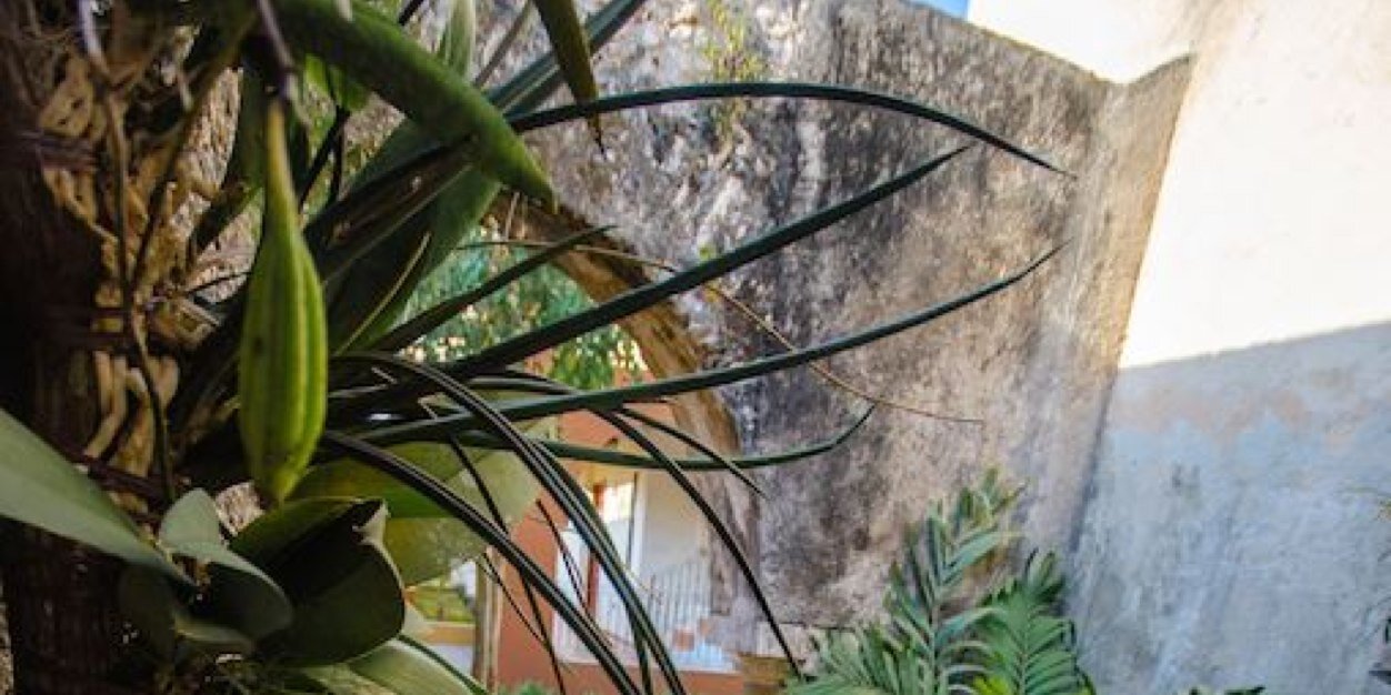 Gilberto_NC's profile banner image