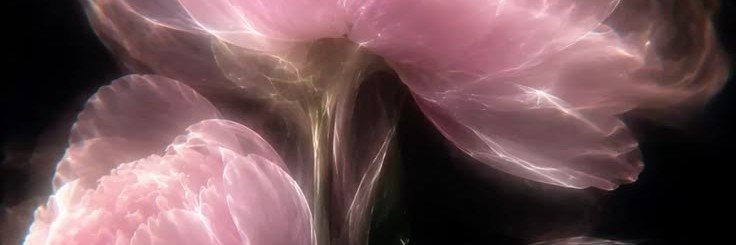 lolenimup's profile banner image