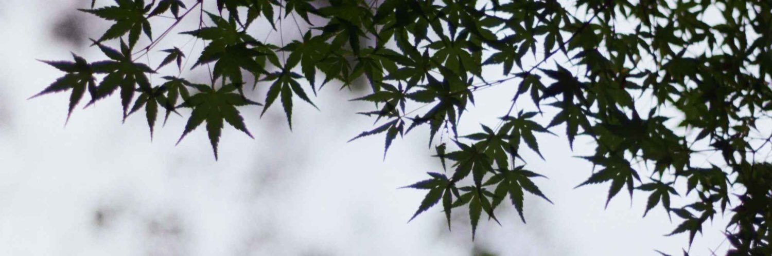 TK banner