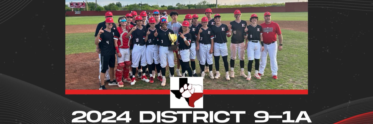 Electra Baseball banner