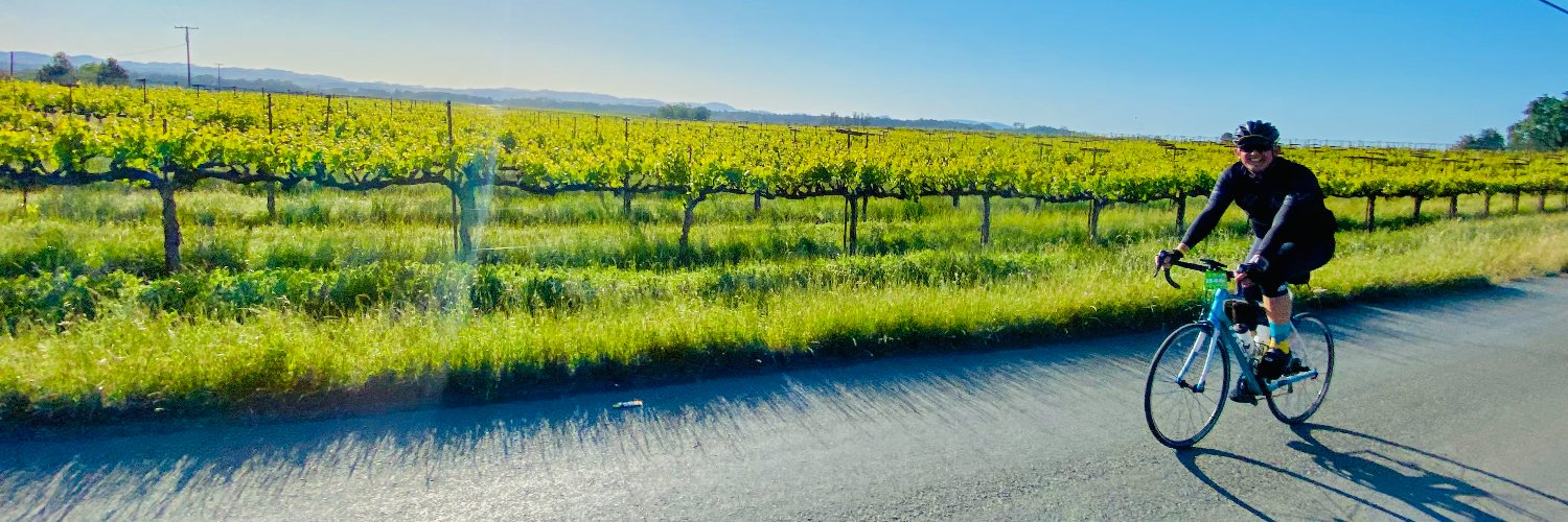mlappin's profile banner image
