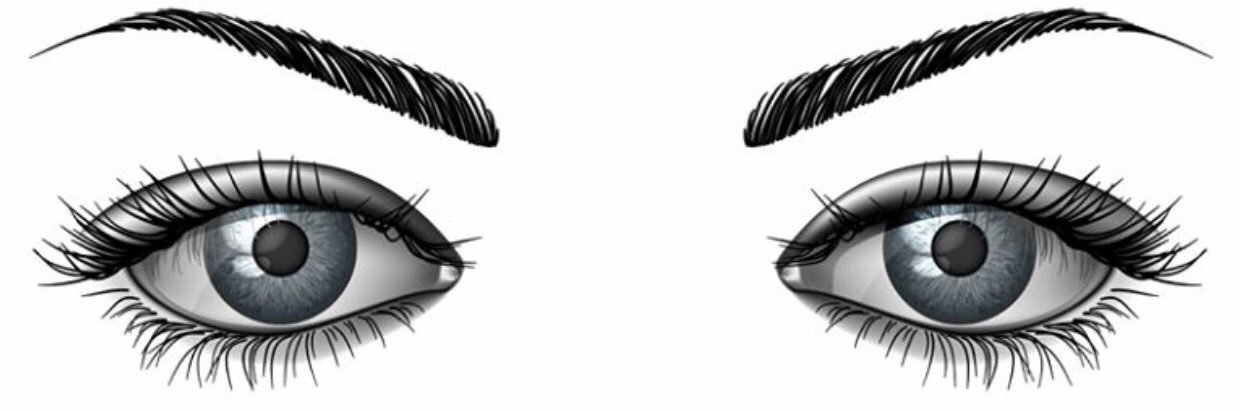felie22's profile banner image