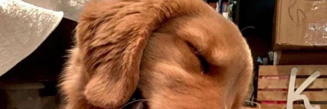 oTiTo_T's profile banner image