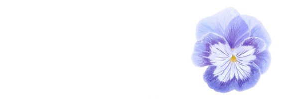 Angelsharedepot Profile Banner