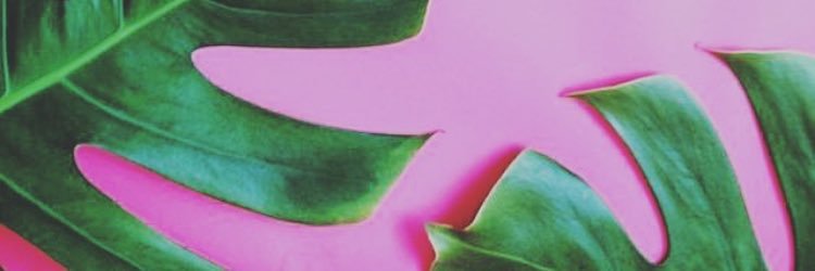 MrsSARAPRADA's profile banner image