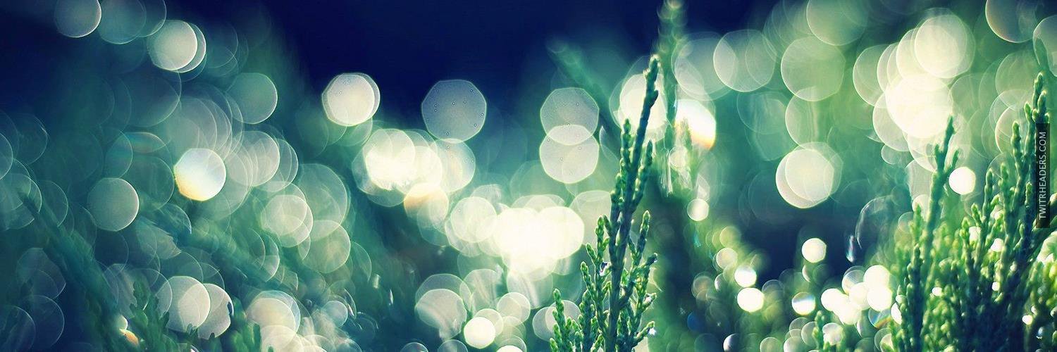 Ida Bjørn-Mortensen banner