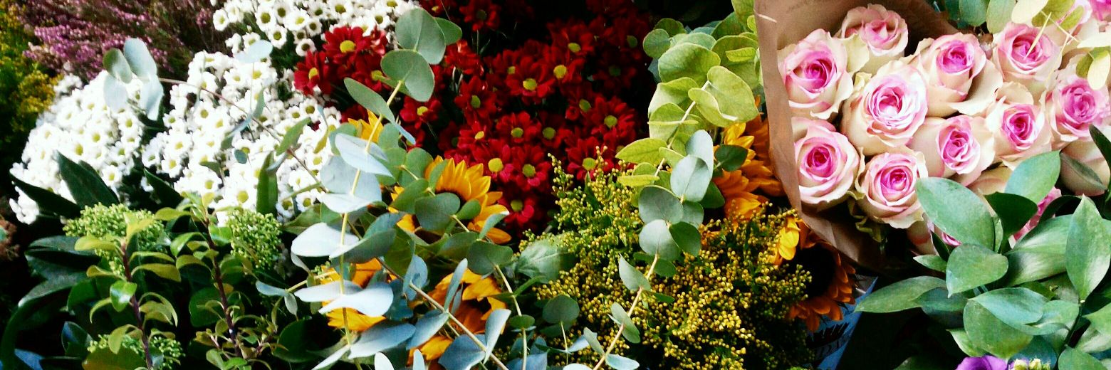 Danda1305's profile banner image