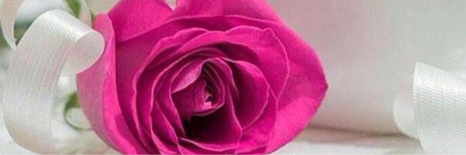 basim banner