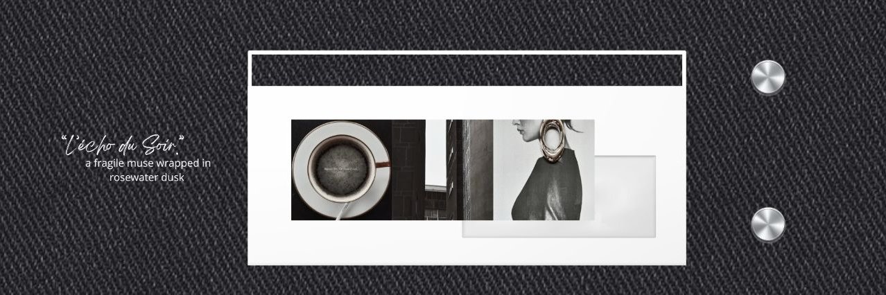 Meerovyn's profile banner image