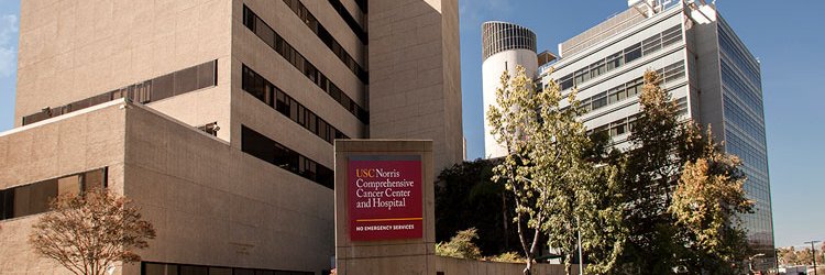 USC CGE banner
