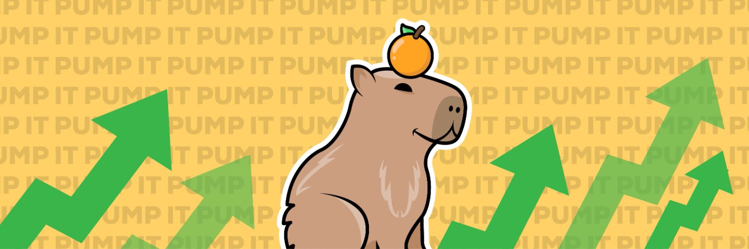 Capybara Coin banner