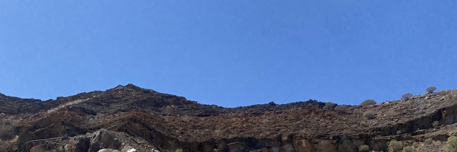 lonersapien's profile banner image