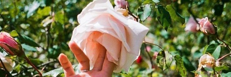 turnsandyearns's profile banner image