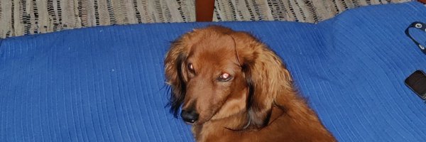 Jubafontes Profile Banner