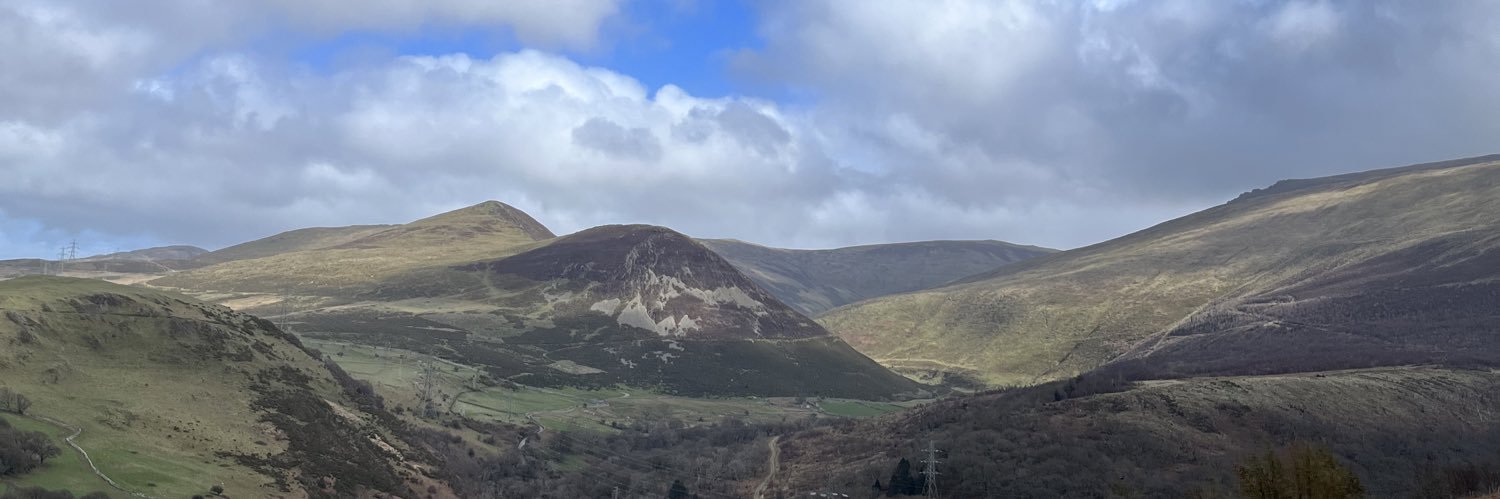 Perrine Florent banner