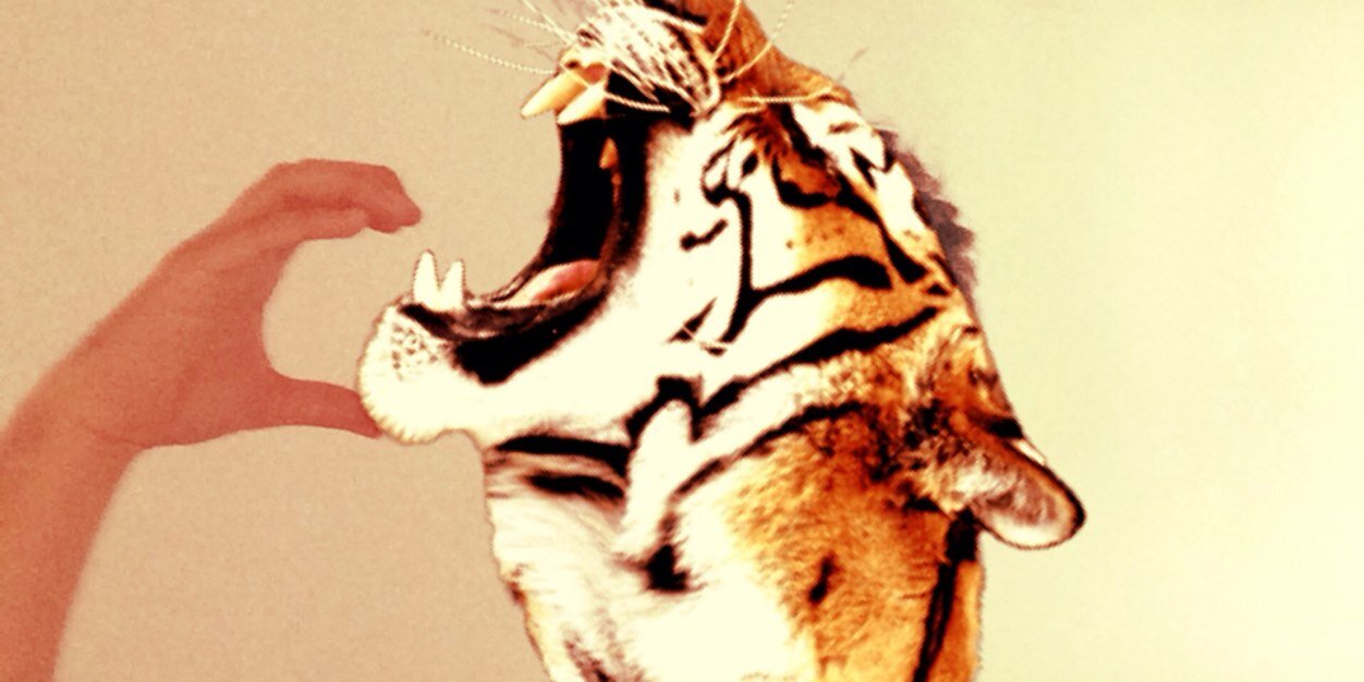 IrvinViera's profile banner image