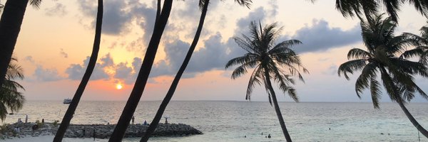 ellaineyc Profile Banner