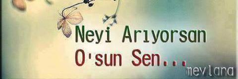 ipek_ce_ren's profile banner image