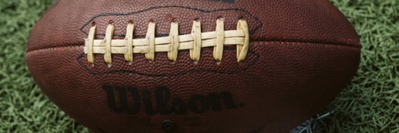 FantasyFootballZaddy banner