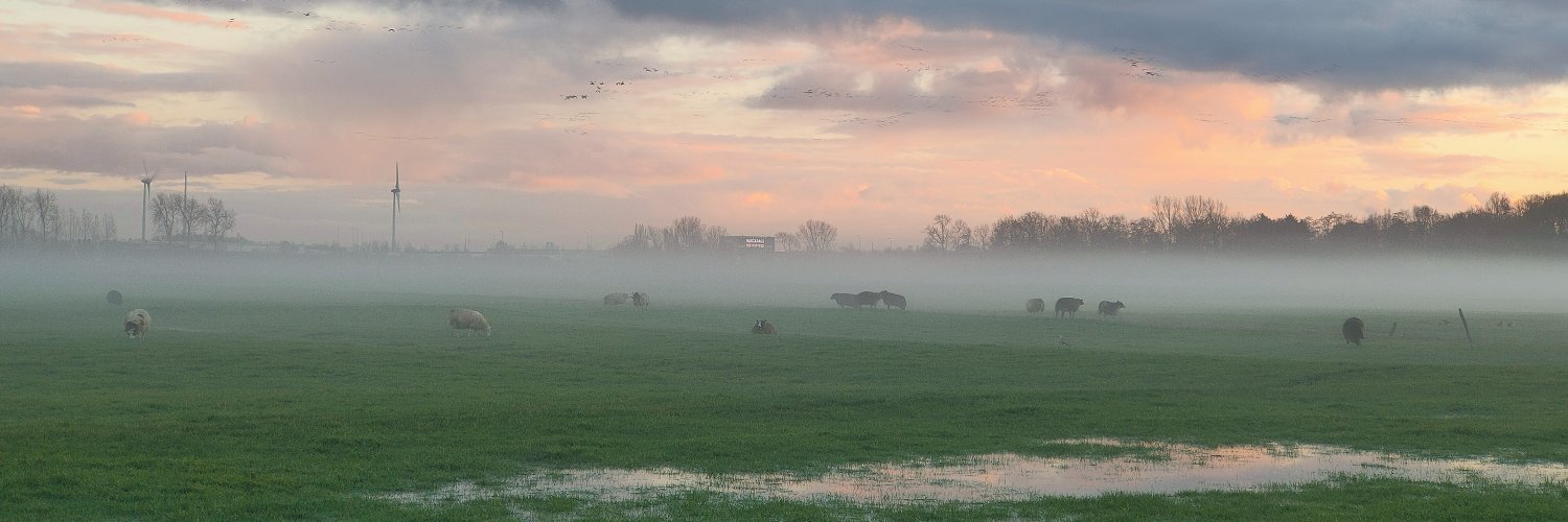 Frank van Eykelen @stereoparty.bsky.social banner