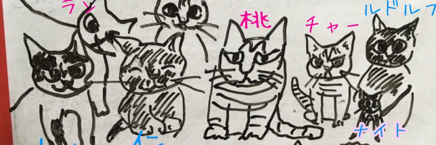 AKI🐈‍⬛💗🏳️‍🌈 banner