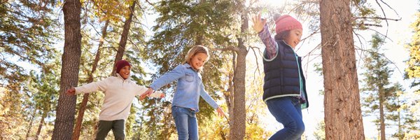 BristleconeChar Profile Banner