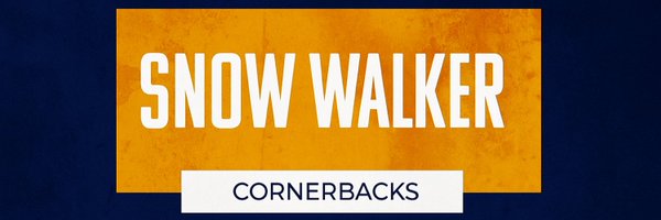 SnowgetsuSensei Profile Banner