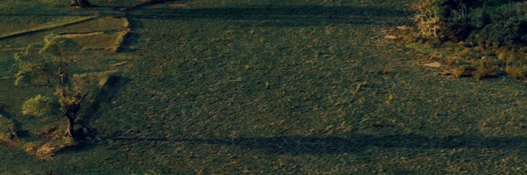 b3llisss's profile banner image