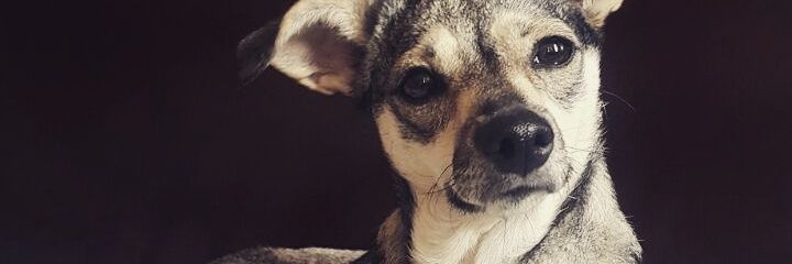 jennymorenom's profile banner image