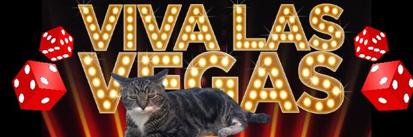 RJTheRJCat2 Profile Banner