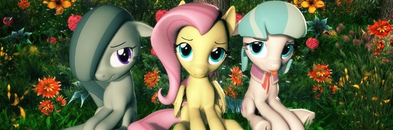 coco pommel of #shedtwt ✃.ᐟ banner