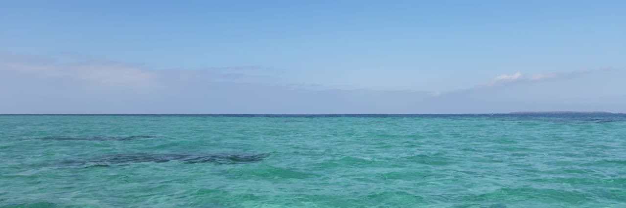 Mariale_OB's profile banner image