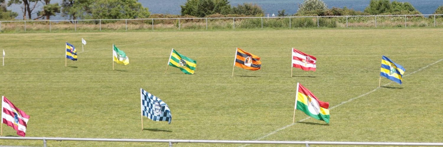 Leinster Camogie Profile Banner