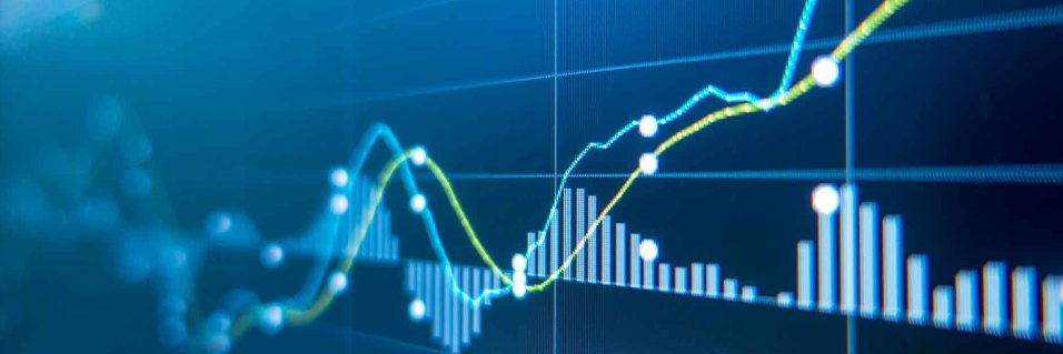 Crypto_Autist banner