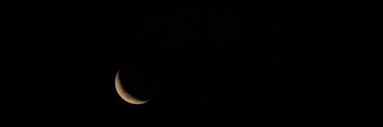 Chogiwander's profile banner image