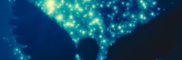 Chachasha8 Profile Banner