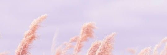 CecyKooqs's profile banner image