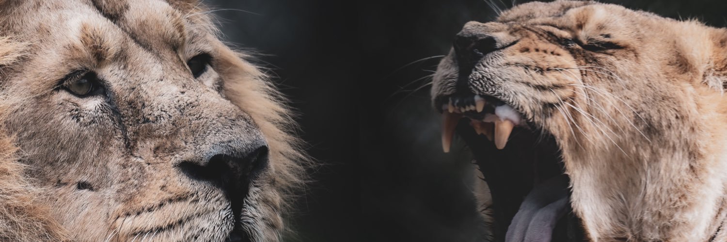 RichardPMedia's profile banner image