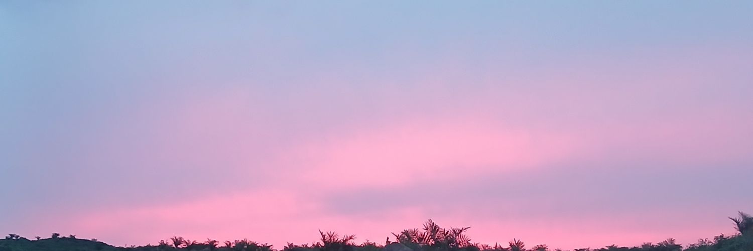 naughtieboy93's profile banner image