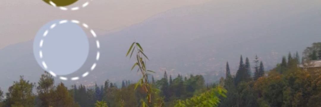Maya_dwii's profile banner image