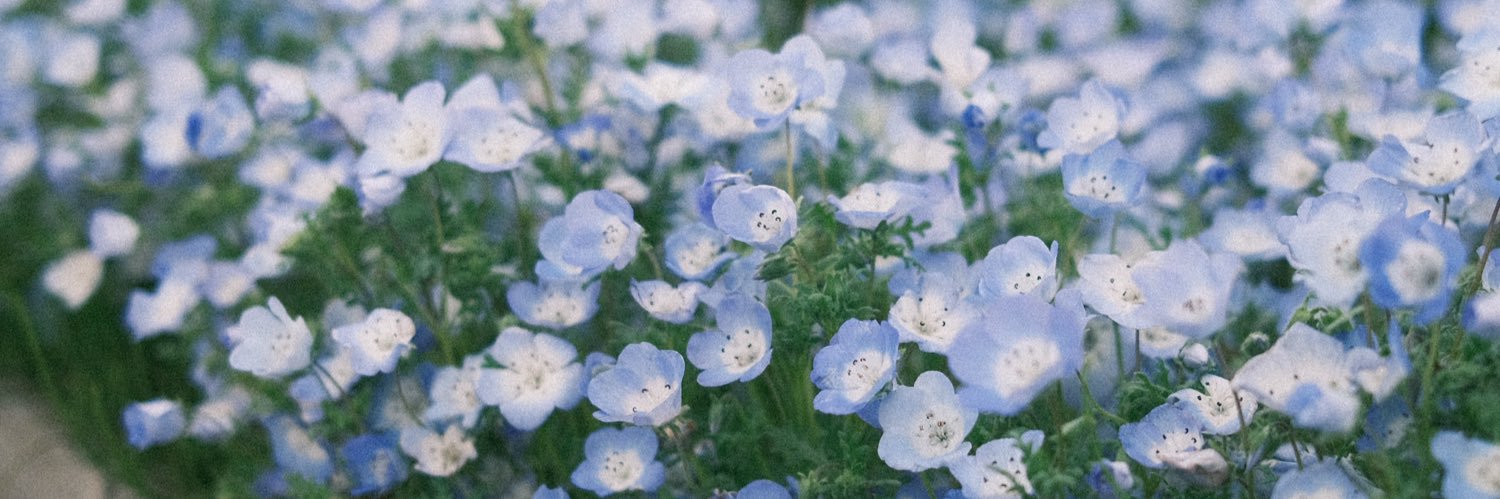 pompompoim's profile banner image