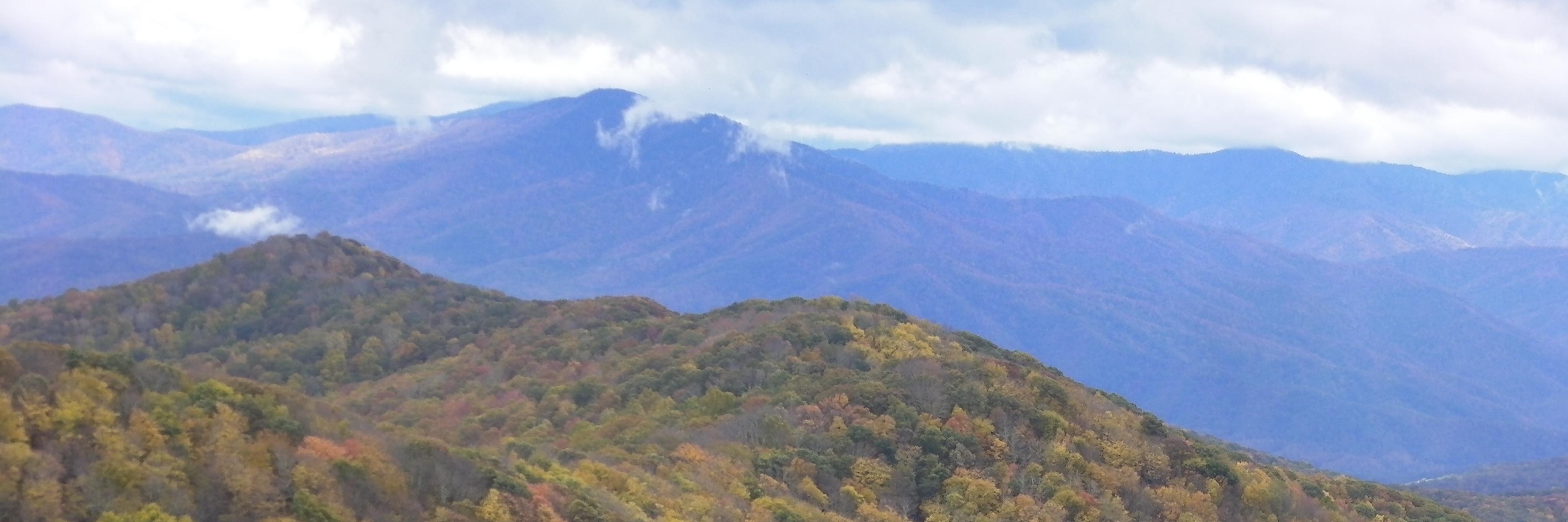 wolandy's profile banner image