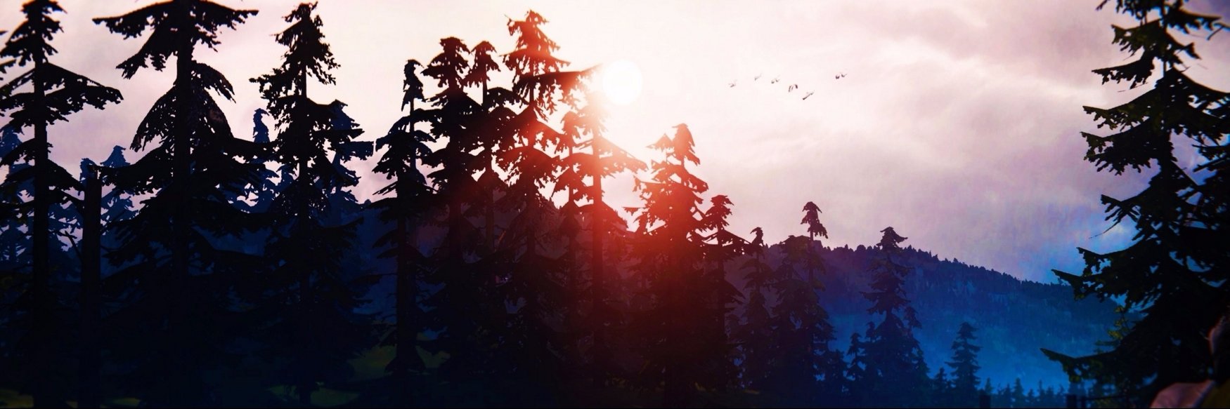 xProzxHD's profile banner image