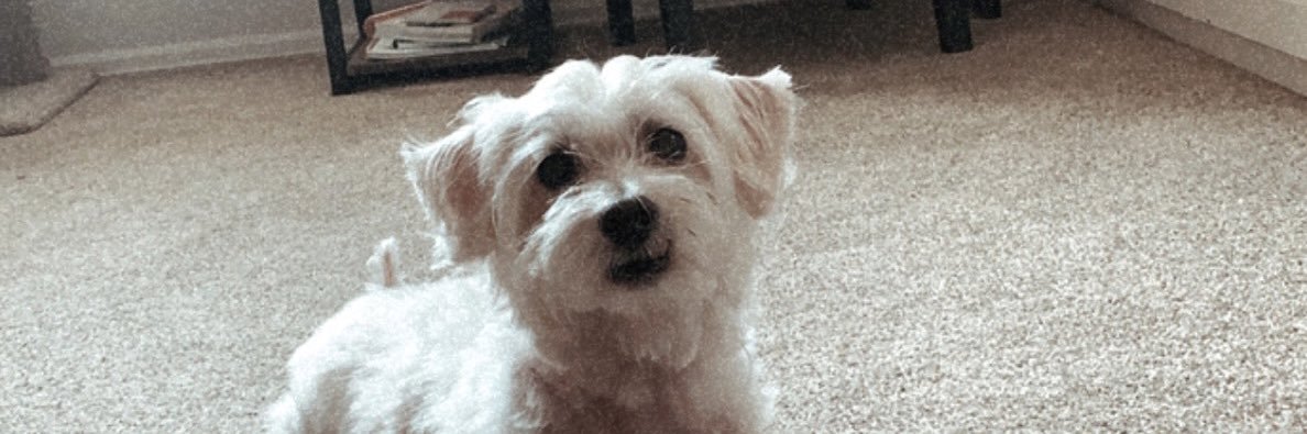Rach banner