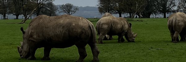 uamin Profile Banner